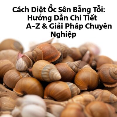 Cách Diệt Ốc Sên Bằng Tỏi: Hướng Dẫn Chi Tiết A-Z & Giải Pháp Chuyên Nghiệp