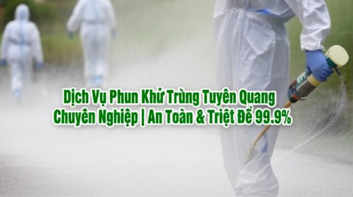 Dịch Vụ Phun Khử Trùng Tuyên Quang Chuyên Nghiệp | An Toàn & Triệt Để 99.9%