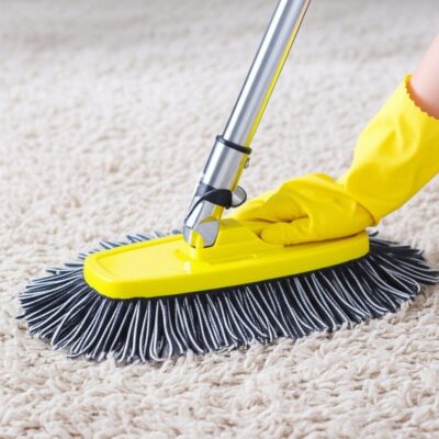 Hướng Dẫn Cách Làm Sạch Thảm Lông Tại Nhà Hiệu Quả Như Chuyên Gia