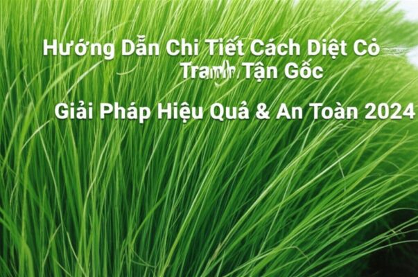 Hướng Dẫn Chi Tiết Cách Diệt Cỏ Tranh Tận Gốc: Giải Pháp Hiệu Quả & An Toàn 2024